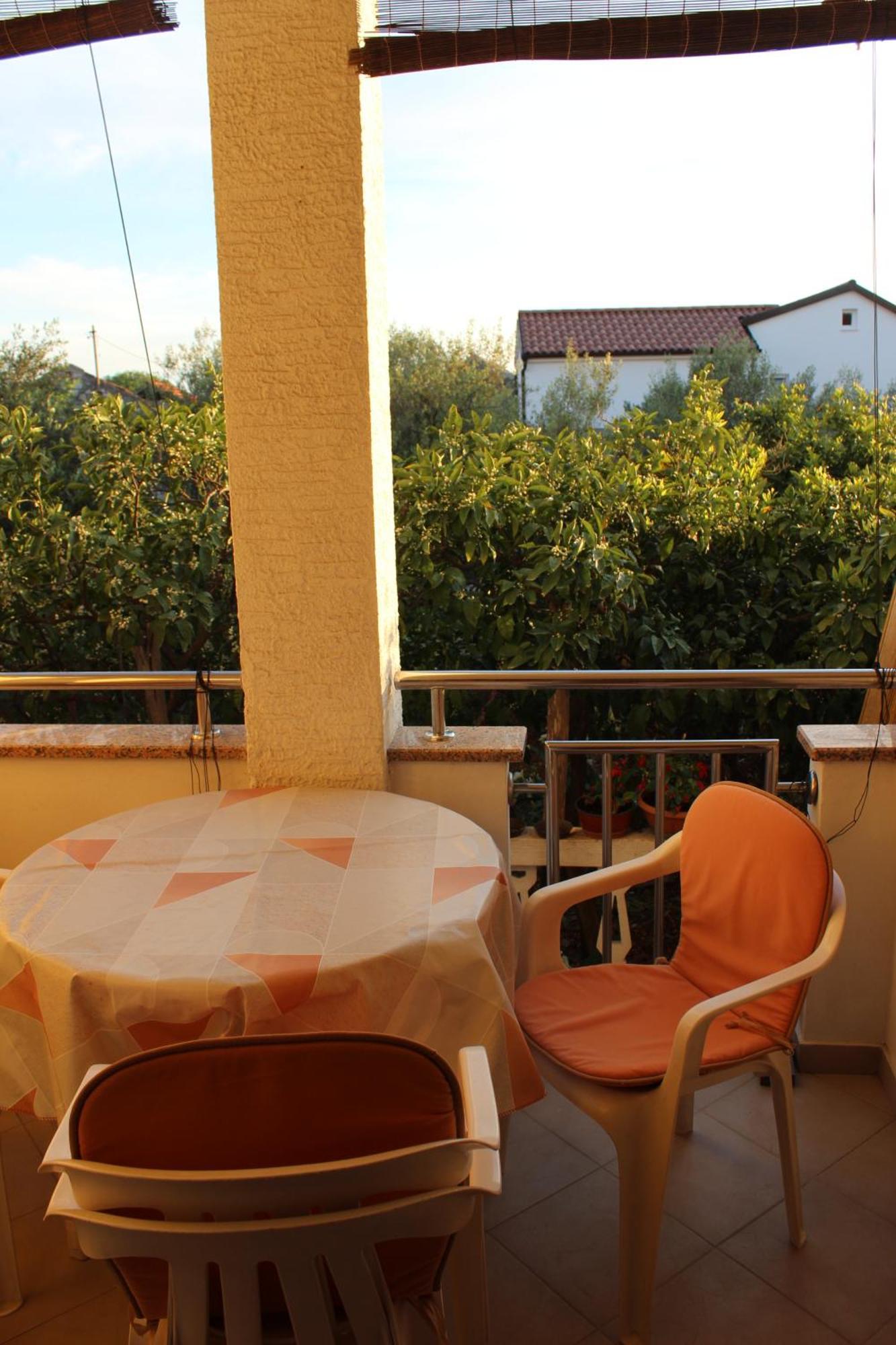 Lisica Apartment Bibinje Exterior photo